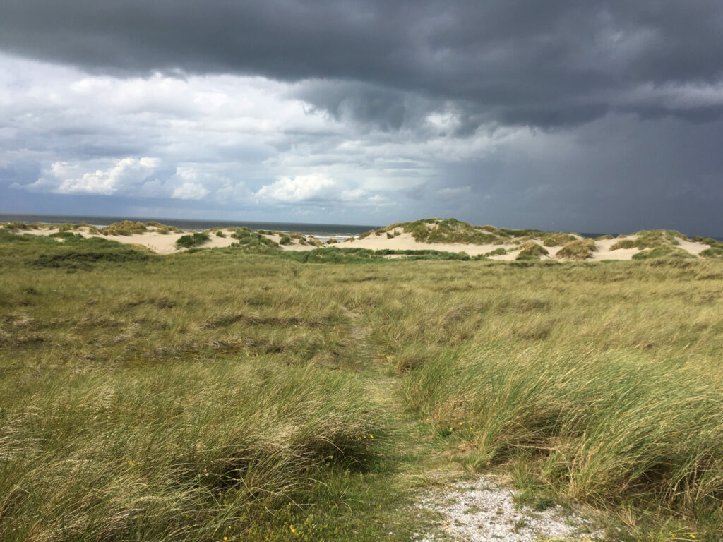 Picture of rain coming in on an island in the Wadden Sea.